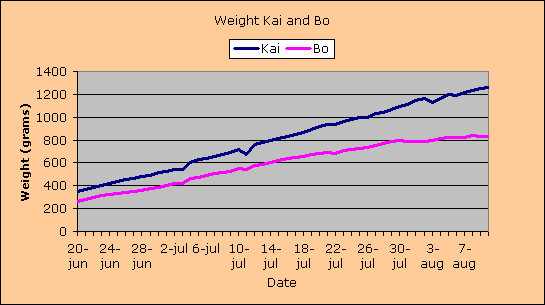 Gewicht Kai en Bo.gif