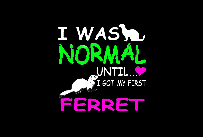 FirstFerret.jpg