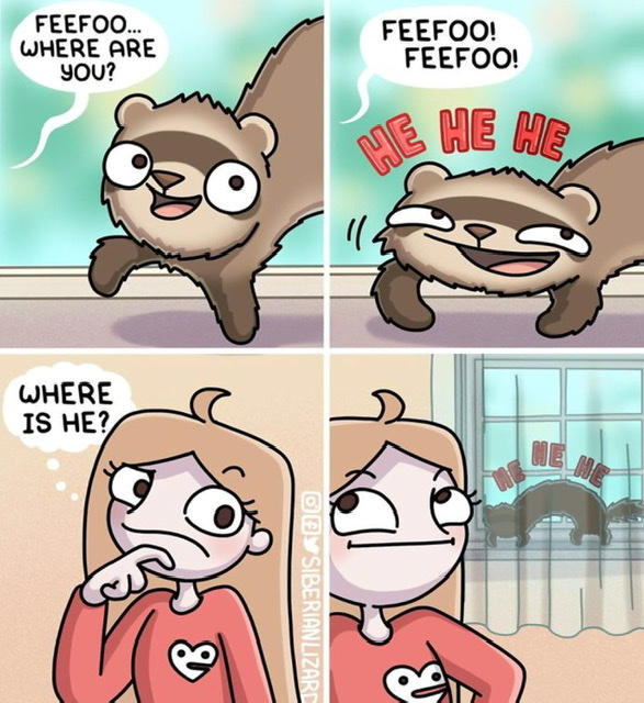 E7104F2C-E617-4E5F-9147-04E1F72D5E28.jpeg