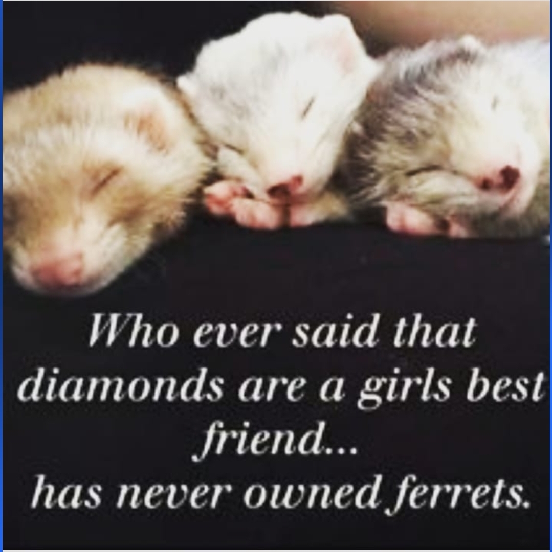 1CE3BB20-F217-4000-84F9-AF176F8D70BD.jpeg
