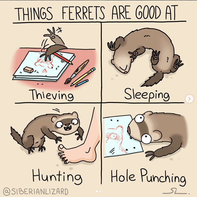 C9CF3A11-7A37-491E-9ABC-CE30BF129BC1.png