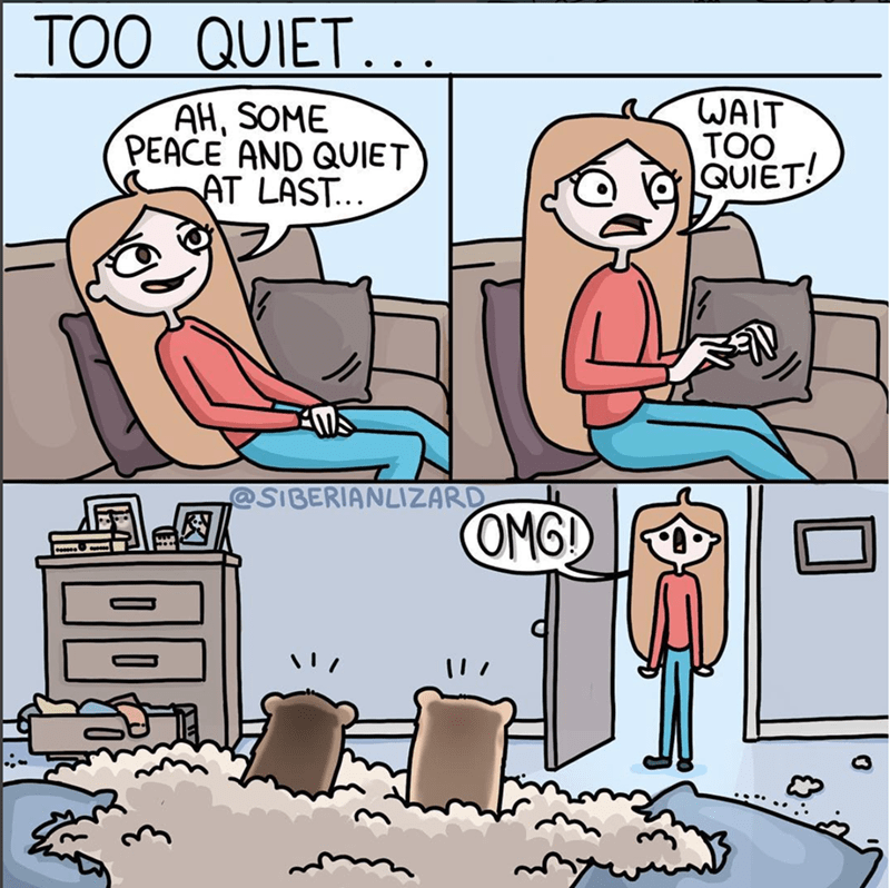 0A3696B2-A0BE-4C02-9380-672223D6D9EC.png