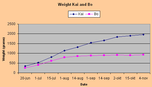 weight_11-2004.jpg